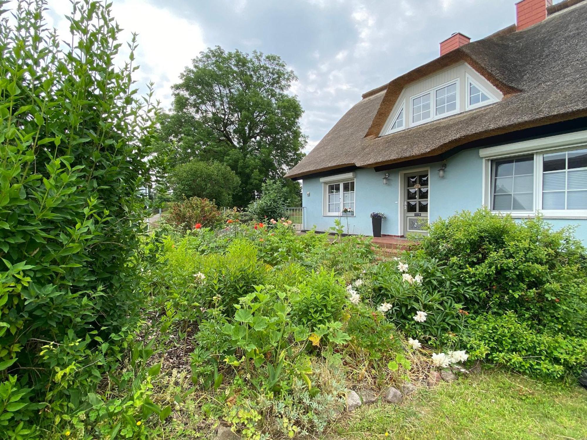 Reethaus Vilmnitz - Ferienwohnungen Exterior foto